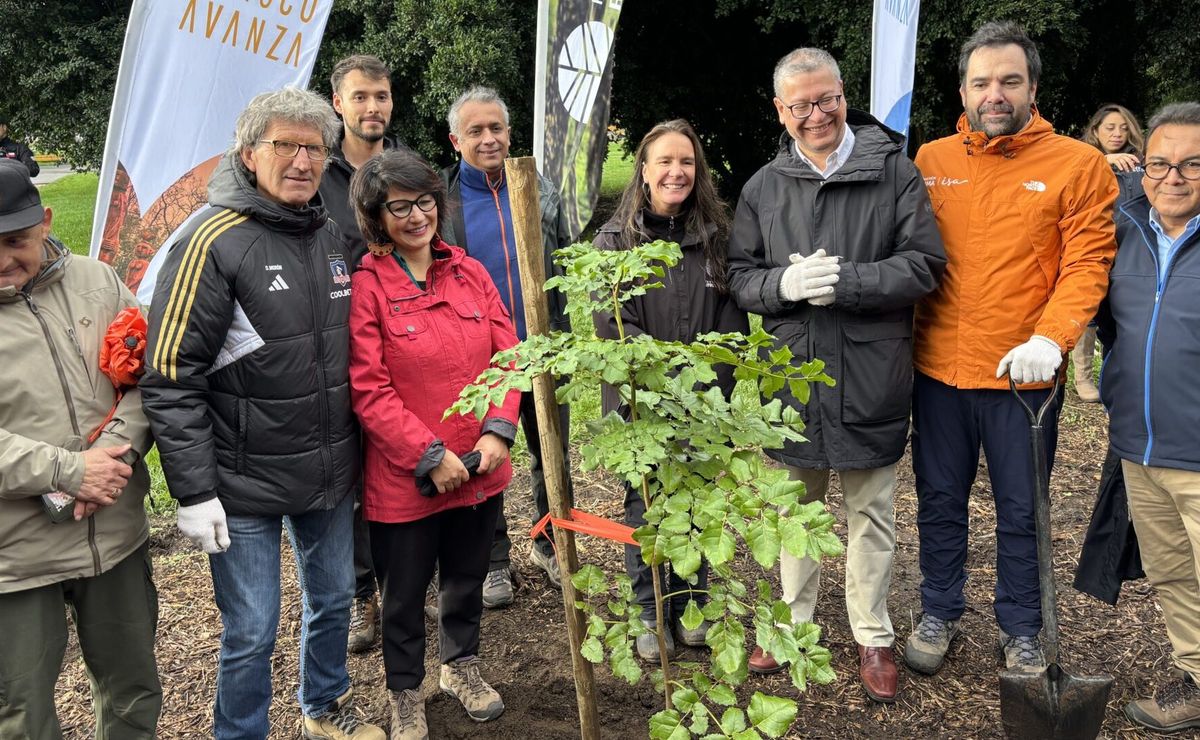 ¡Rumbo al Centenario! Colo Colo inicia el camino para ser el club más ecológico de Sudamérica