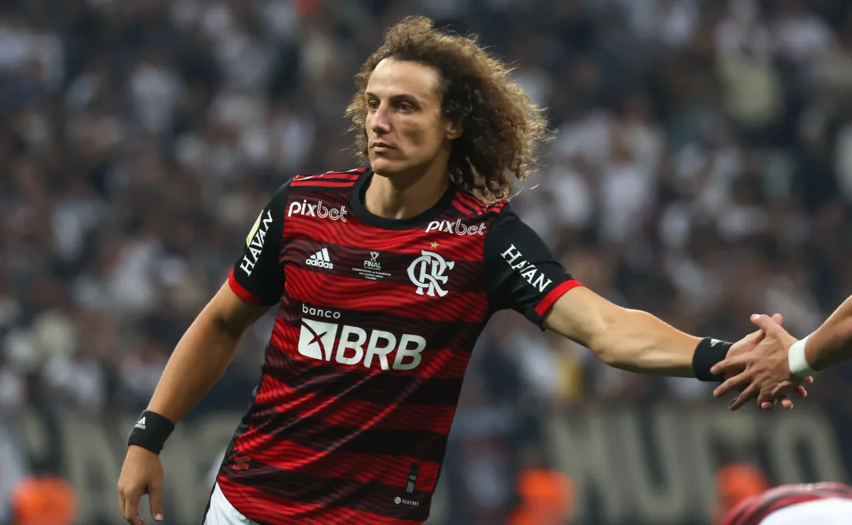 Após proposta do Besiktas e de clube saudita, David Luiz avisa decisão para  o Flamengo - NossoFla