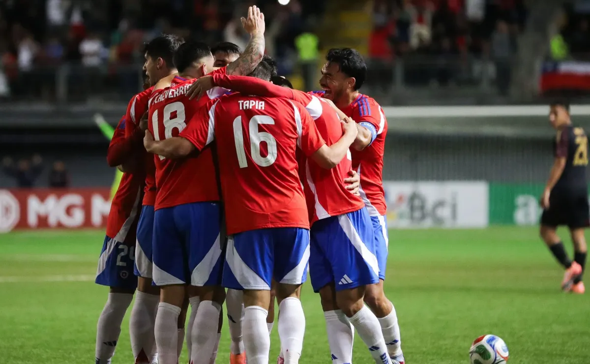 Manuel de Tezanos pide confirmación de DT para selección chilena