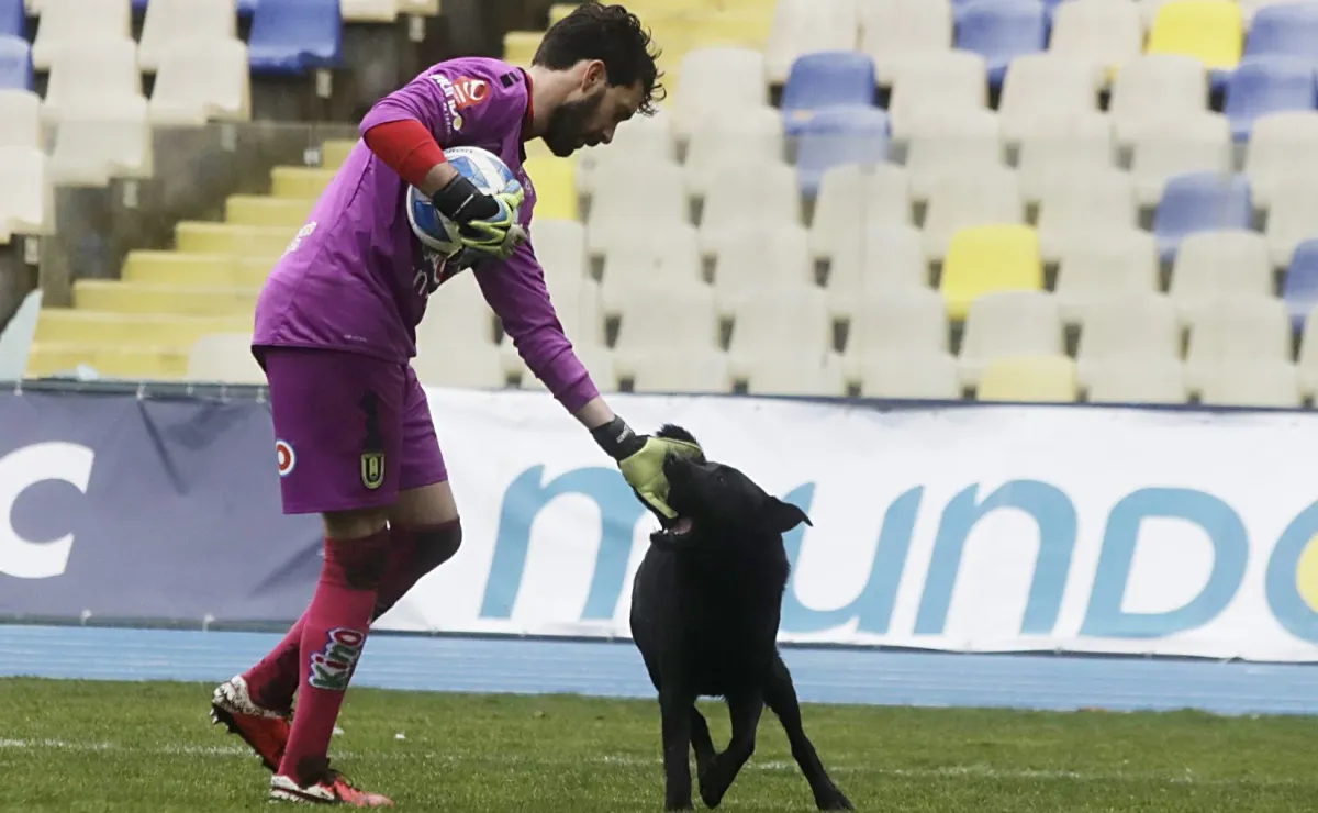 Arquero del fútbol chileno se retira por enfermedad Arquero del fútbol chileno se retira por enfermedad