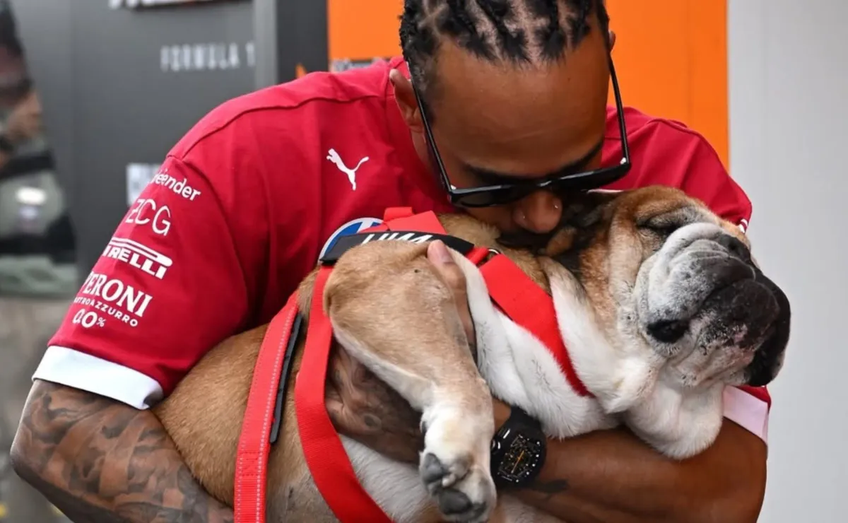 Lewis Hamilton devastado por noticia en redes sociales Lewis Hamilton devastado por noticia en redes sociales