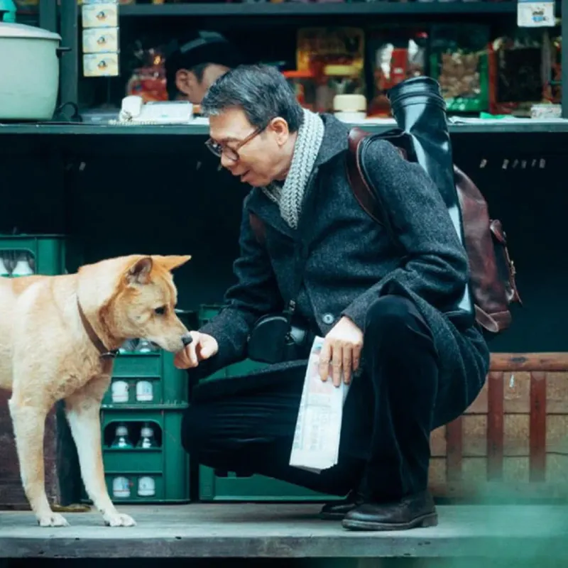 Cuándo se estrena "Hachiko 2: Siempre a tu lado"? - Spoiler