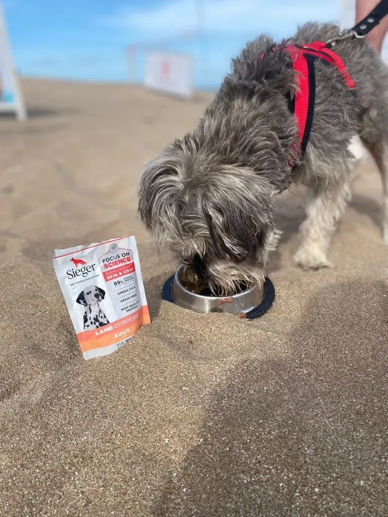 Sieger, más de 15 años de trayectoria en el mercado de petfood.
