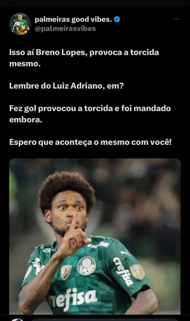 PALMEIRAS. Um pequeno torcedor do Palmeiras viralizou nas redes sociai