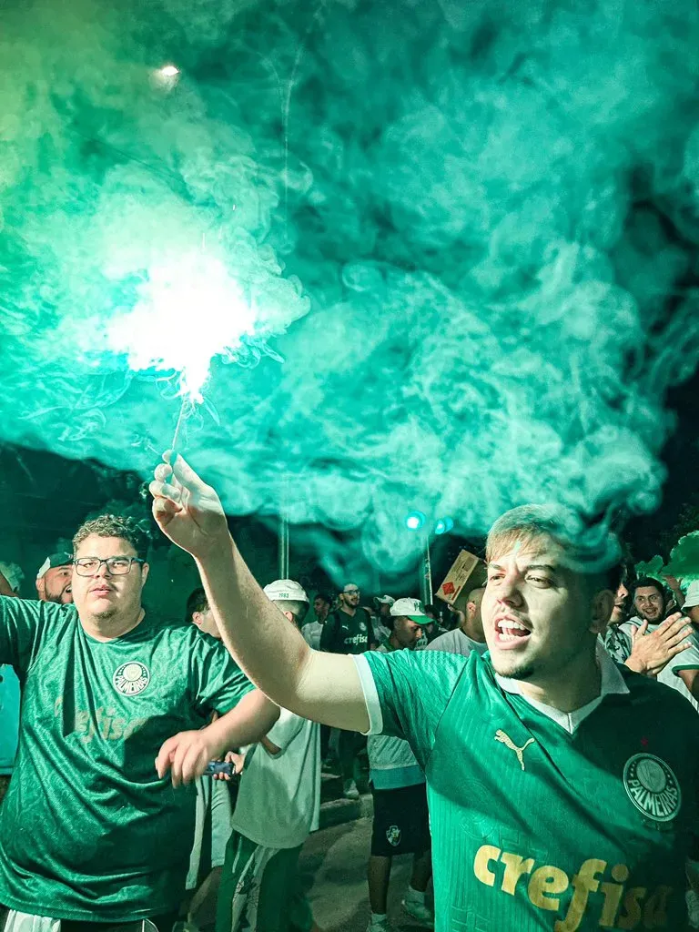 Foto: rede social X / Palmeiras