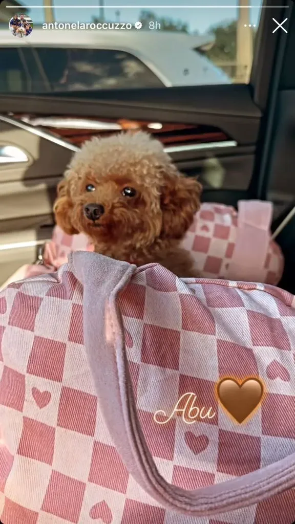 El nuevo perro de Messi (Foto: Instagram / @antonelarocuzzo)