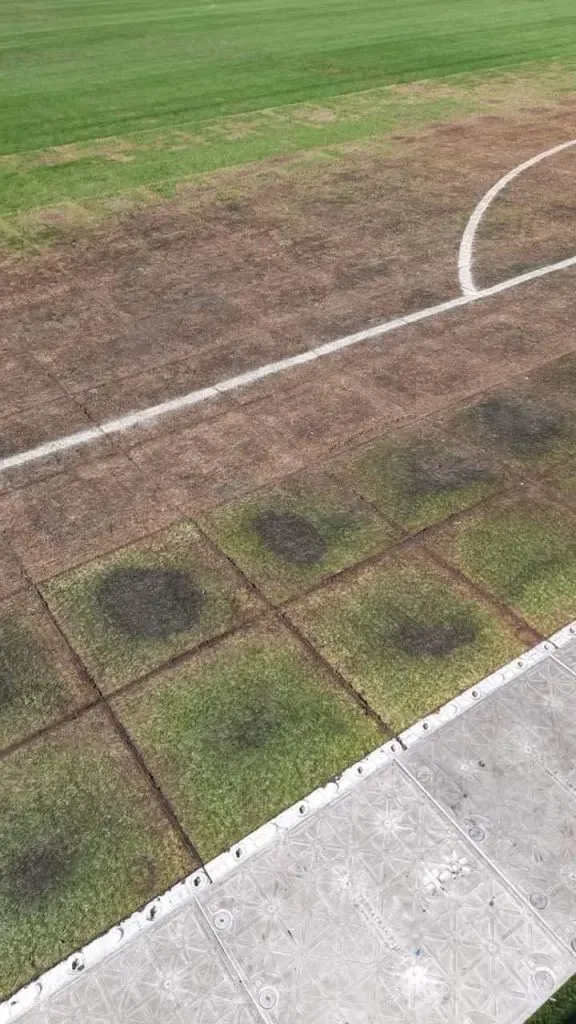 Así están las áreas de la cancha del Estadio Monumental