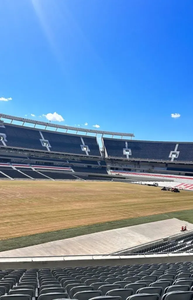 Así estaba el césped del Monumental hace unos días.