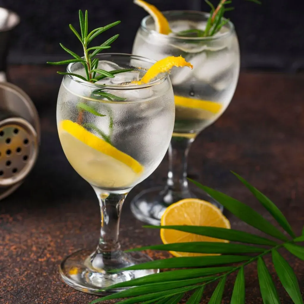 Gin Tonic