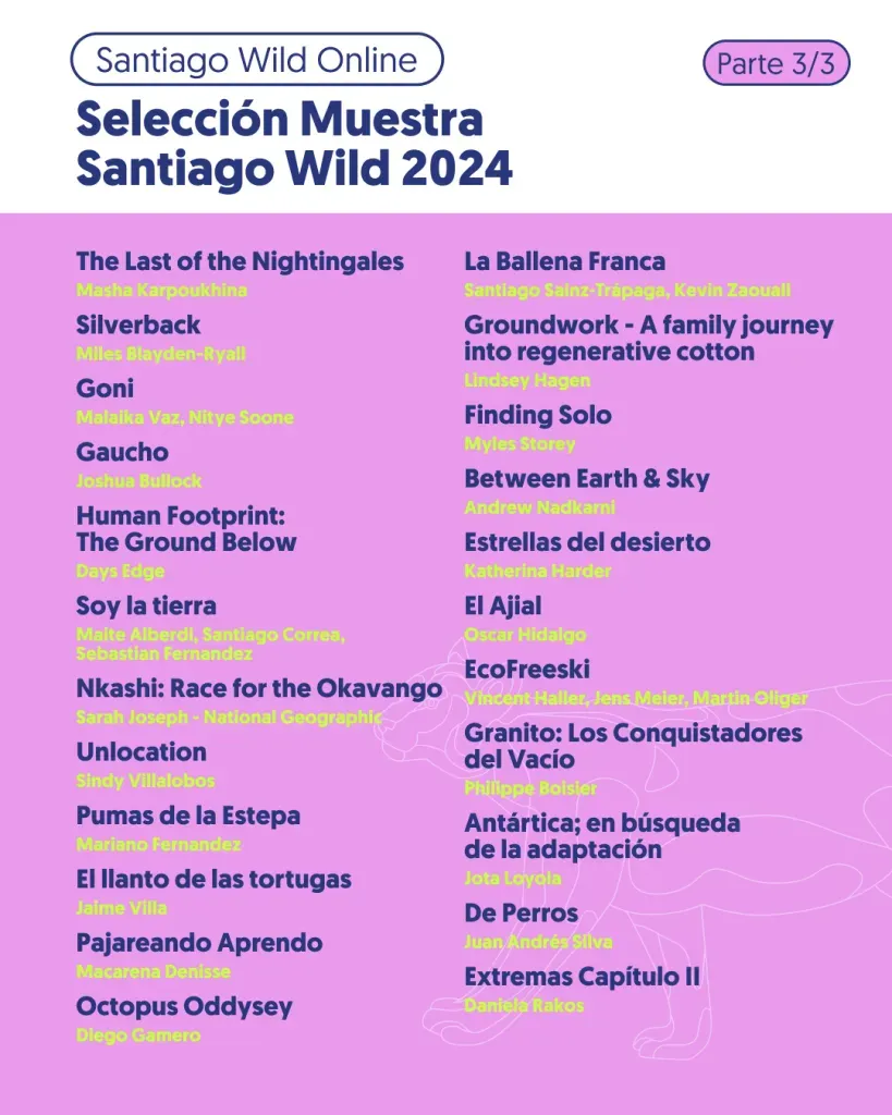 Parte de la muestra de cintas que forman parte de Santiago Wild 2024. Foto: Santiago Wild.