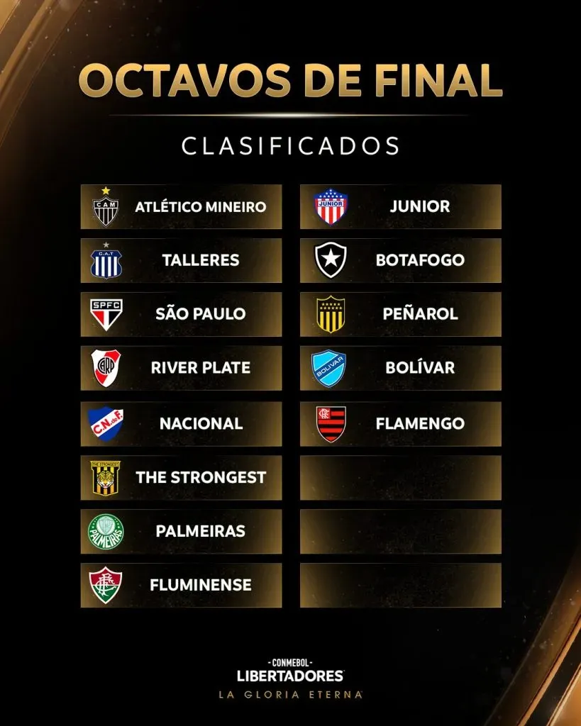 Los 13 equipos ya clasificados. ¿Podrá meterse Colo Colo en este grupo? | Foto: Copa Libertadores.