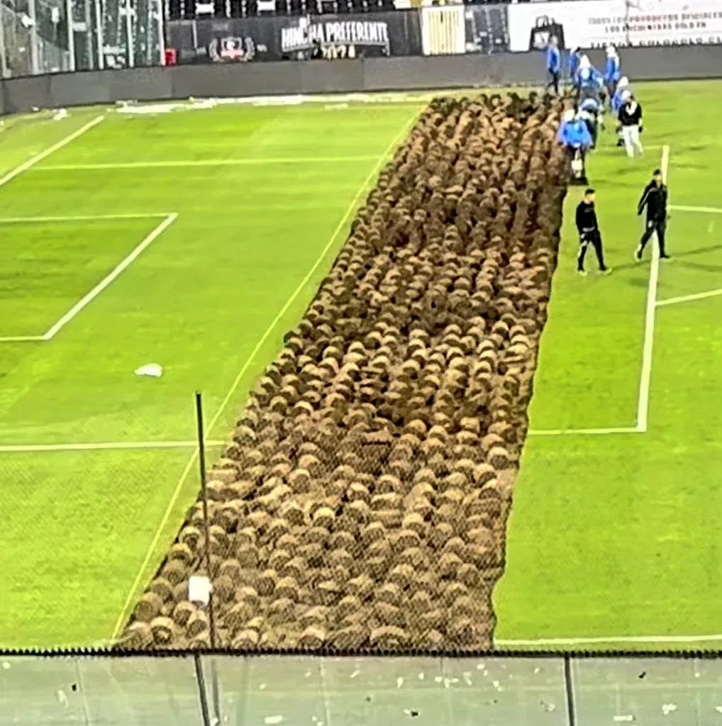 Así se fue sacando el pasto del Estadio Monumental de Colo Colo para no sufir con el concierto de Paul McCartney. Foto: Twitter.