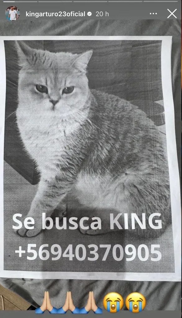 Arturo Vidal avisó que su gato está perdido. Foto: Instagram.