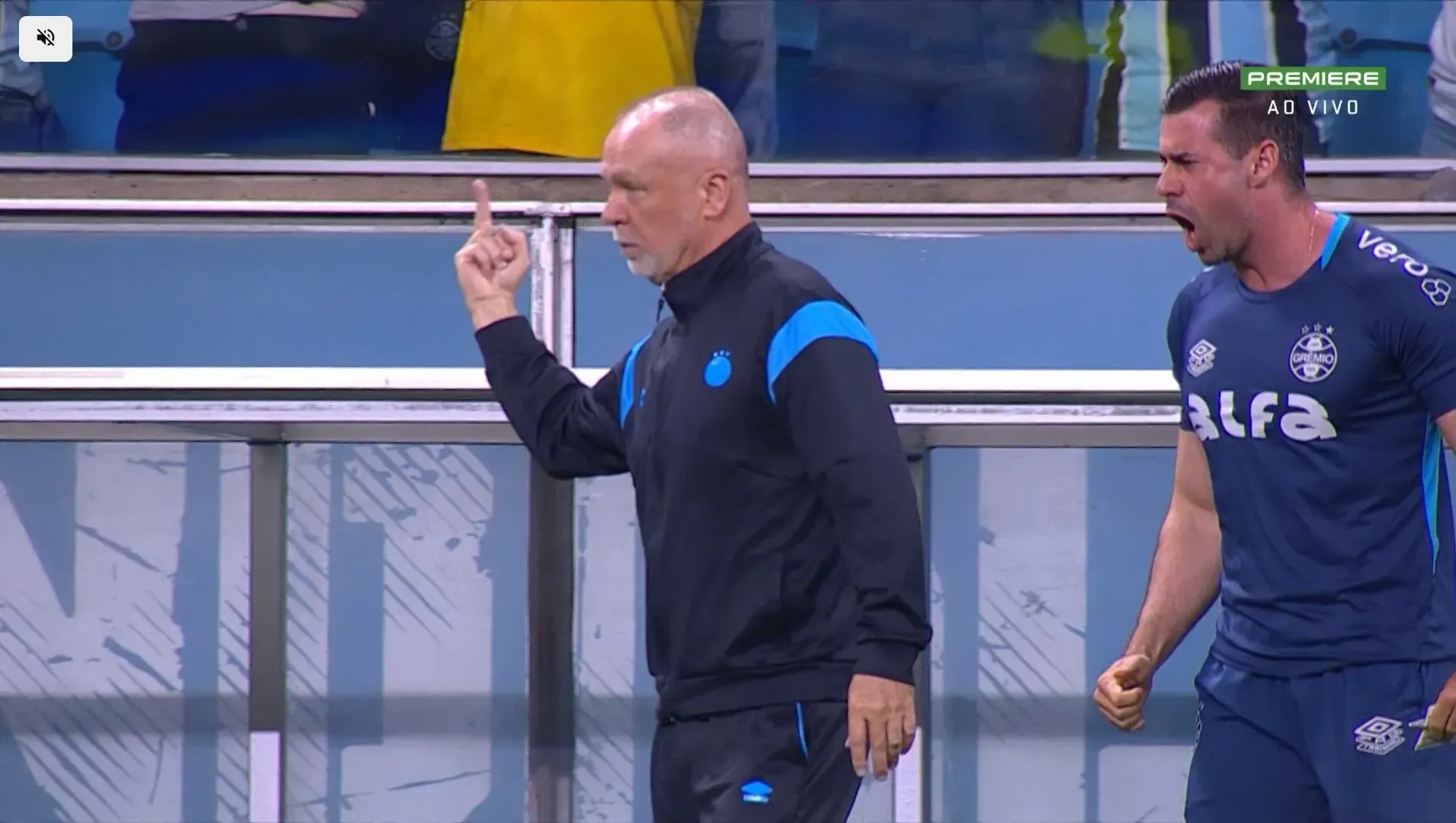 Mano Menezes, DT de Alexander Aravena en Gremio, se molestó con los hinchas chaqueteros.