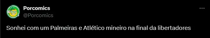 Torcedor do Palmeiras. Foto: Reprodução/Twitter