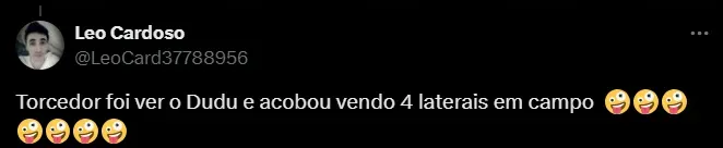 Torcedor do Palmeiras. Foto: Reprodução/ Twitter