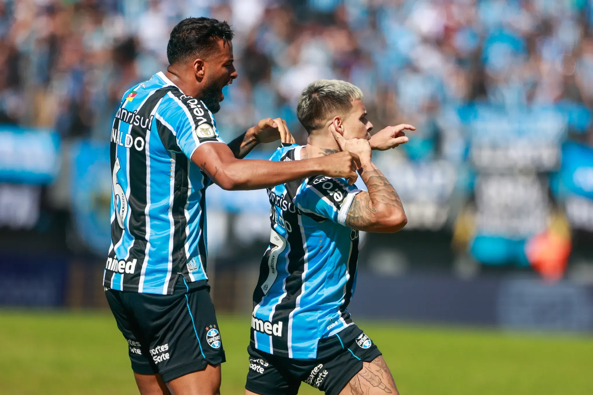 Reinaldo e Soteldo comemoram gol no triunfo do Grêmio sobre o Vitória por 2 a 0 no Campeonato Brasileiro 2024. Foto: Luiz Erbes/AGIF