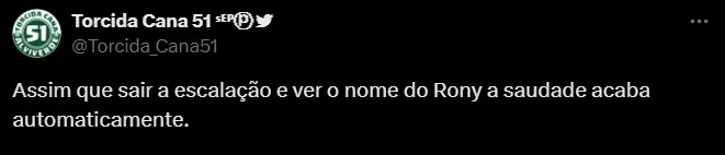 Torcedor do Palmeiras. Foto: Reprodução/ Twitter