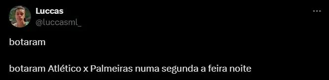 Torcedor do Palmeiras. Foto: Reprodução/Twitter