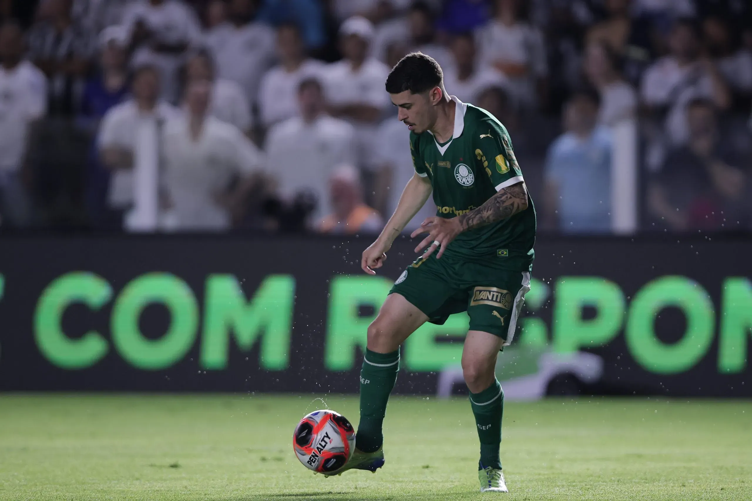 Rômulo durante jogo do Palmeiras. Foto: Ettore Chiereguini/AGIF