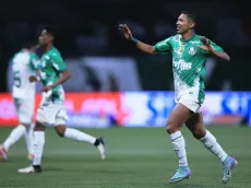 Saiba as atuações de Palmeiras e Vasco pelo Brasileirão