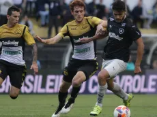 Criciúma x Botafogo AO VIVO – Onde assistir jogo em tempo real pelo Brasileirão Série A