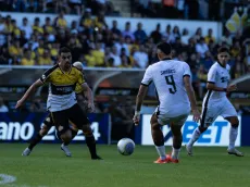 Saiba a atuações do Botafogo pelo Brasileirão