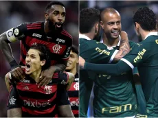 Palmeiras e Flamengo lideram invencibilidade entre os times da Série A