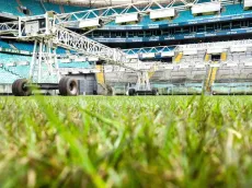 Arena do Grêmio: Confira o estado do gramado e possível retorno