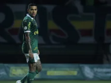 Abel Ferreira comenta sobre o momento do Dudu no Alviverde