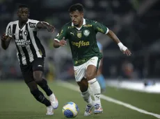 Árbitro de Botafogo x Palmeiras já foi afastado por erro grave