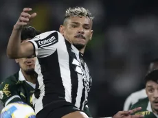 Palpite Botafogo x Palmeiras - Copa Libertadores - 14/08/2024