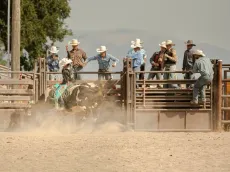 Como apostar em vaquejada? Melhores sites e dicas para iniciantes