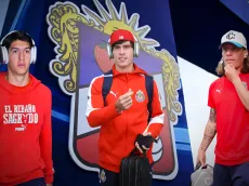 ¿Por que el Oso, Hormiga, Campillo y Castillo no jugarán?