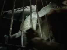 'Return to Silent Hill' trailer breakdown: All on its Easter Eggs