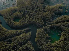 Dylan O'Brien new movie: Where is the real Caddo Lake located?