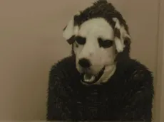 Good Boy: ¿La película de terror del hombre-perro está en Netflix o dónde verla online?