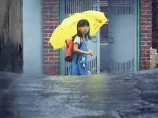 Hope, película coreana: ¿Qué pasó en la vida real con Cho Doo Soon, el hombre que atacó a la niña?