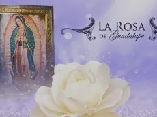 ¿Dónde ver completos los capítulos de La Rosa de Guadalupe online?