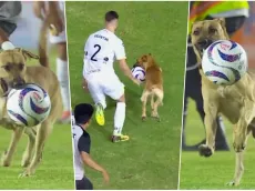 El perro Messi suspende partido en México: la rompe