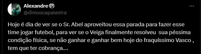 Torcedor do Palmeiras. Foto: Reprodução/ Twitter