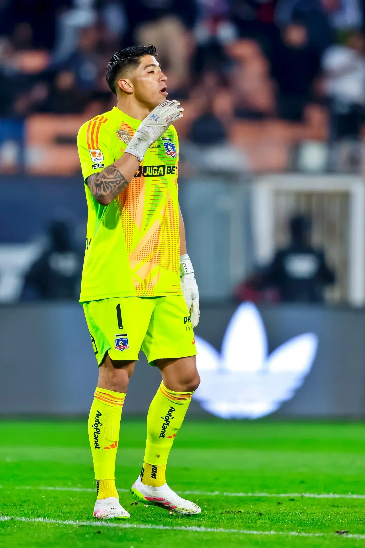 Brayan Cortés de vuelta en Colo Colo tras su paso por Peñarol (Photosport)