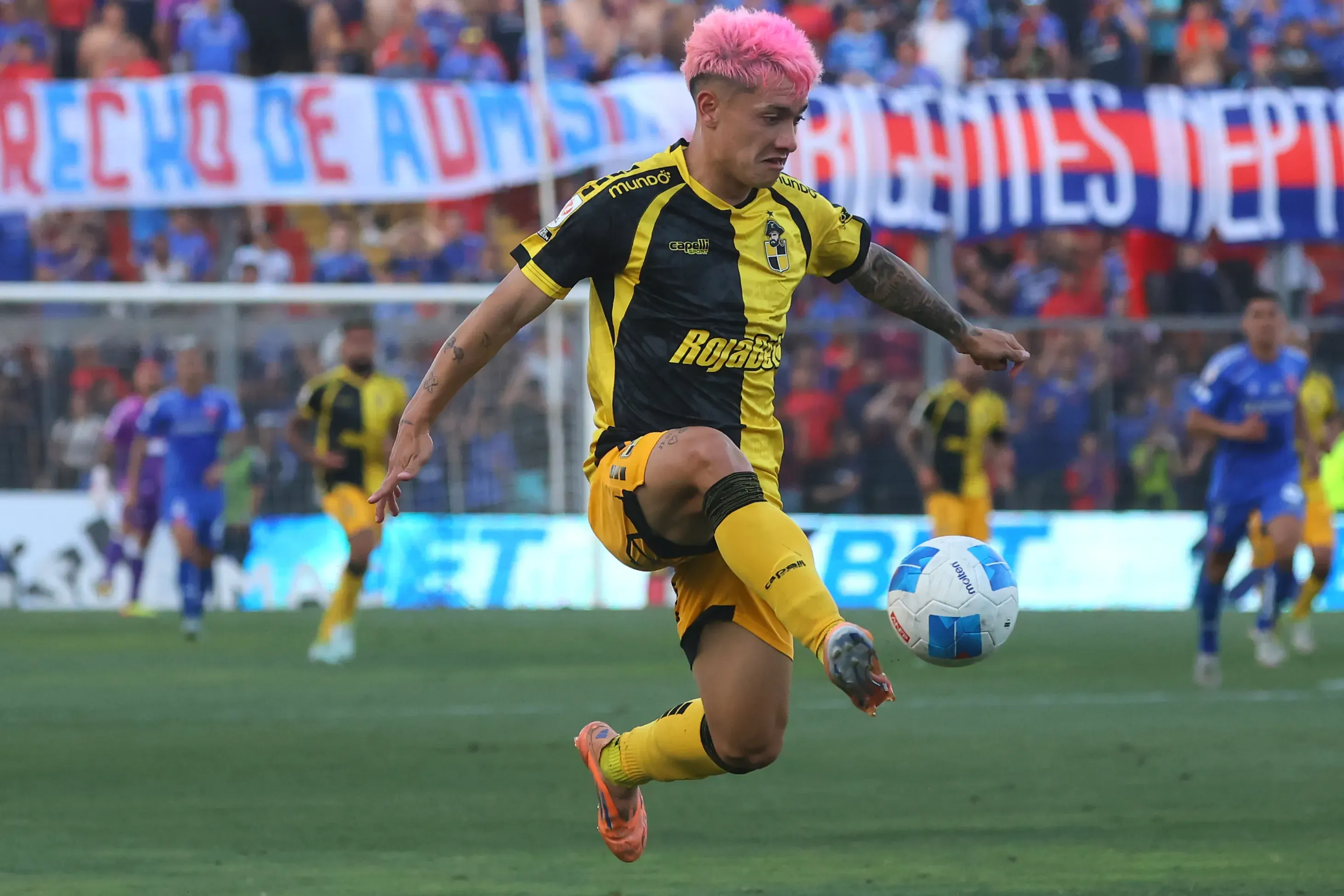 Cristian Zavala no ha podido marcar un gol en la campaña de campeón de Coquimbo Unido. Foto: Jonnathan Oyarzun/Photosport