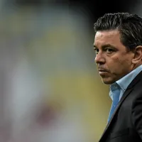 De volta ao River Plate, Marcelo Gallardo estaria interessado em jogador do Palmeiras