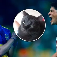 ¿Boca o Fluminense? Milu, el gato vidente de TikTok, predijo quién ganará la Libertadores