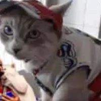 Las chicanas del CM de Fortaleza a Boca tras el triunfo en la Copa Sudamericana