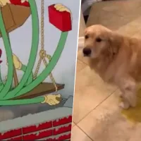 Los mejores memes de la victoria del Real Madrid ante Pachuca en el Mundial de Clubes