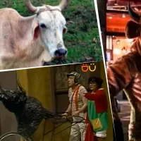 Con Guillermo como protagonista, los mejores memes de la victoria de Racing sobre Vélez en la Copa Libertadores 2025