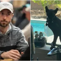 Imortal do poker viaja para o Brasil, mas passa perrengue para embarcar com o bichinho de estimação