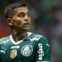 Palmeiras esquece Dudu e decide CONTRATAR atacante de R$ 400 mil p/ Libertadores